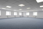 Toomaskylights-3.jpg; ?>